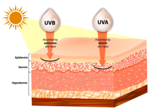 UVA and UVB