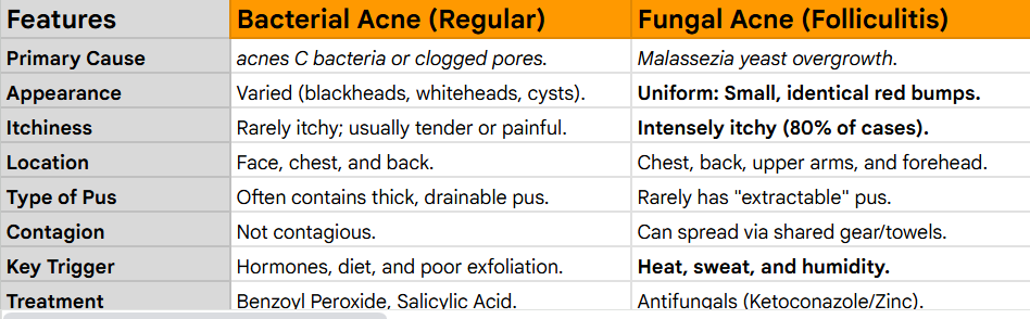 bacterial acne vs fungal acne
