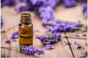 lavendar