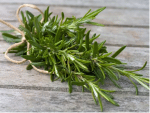 rosemary